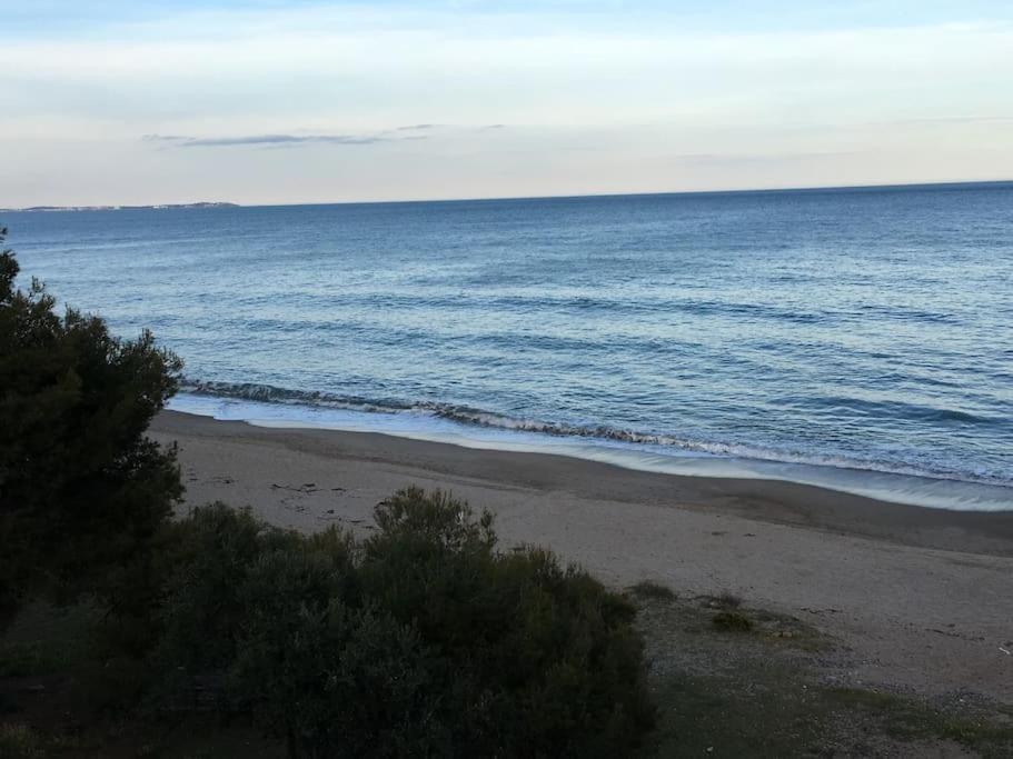Beach-Lovers - Apartamento 1Era Linia Mar ميامي بلاتجا المظهر الخارجي الصورة
